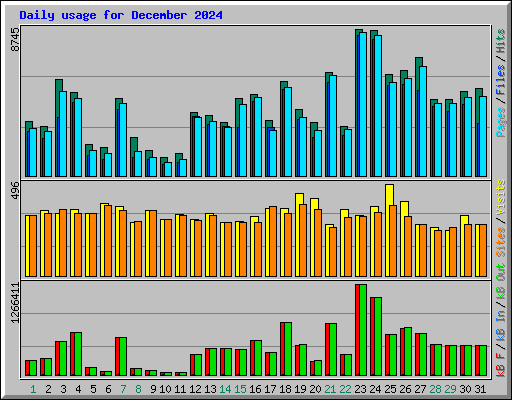 Daily usage for December 2024