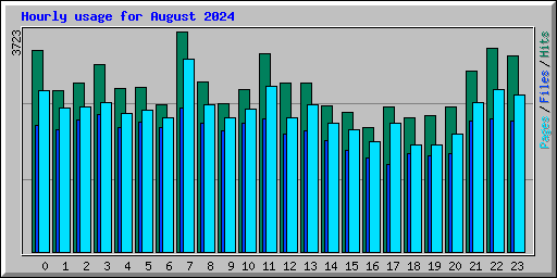 Hourly usage for August 2024