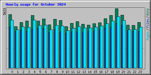 Hourly usage for October 2024