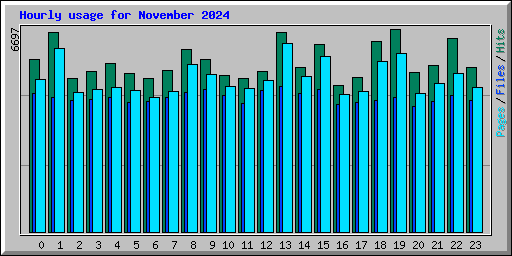 Hourly usage for November 2024