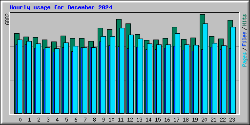 Hourly usage for December 2024