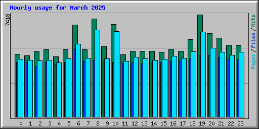 Hourly usage for March 2025