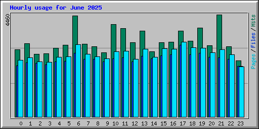 Hourly usage for June 2025