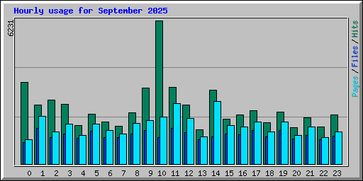 Hourly usage for September 2025