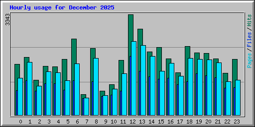 Hourly usage for December 2025