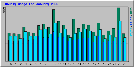 Hourly usage for January 2026