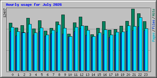 Hourly usage for July 2026